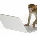Se vând undeva caracterele / literele nefolosite de pe internet?
